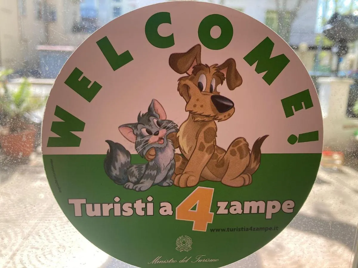 Hotel Urania Nuova Gestione Rimini Włochy